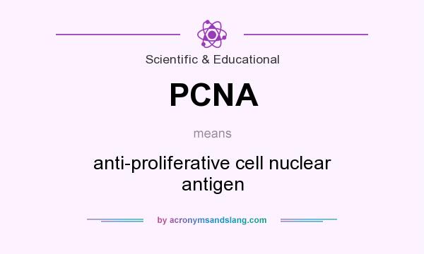 What does PCNA mean? It stands for anti-proliferative cell nuclear antigen