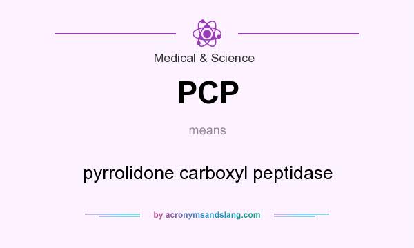 What does PCP mean? It stands for pyrrolidone carboxyl peptidase