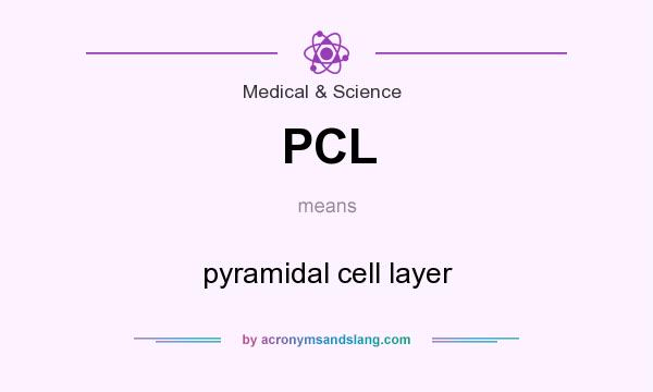 What does PCL mean? It stands for pyramidal cell layer