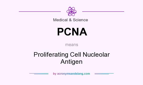 What does PCNA mean? It stands for Proliferating Cell Nucleolar Antigen
