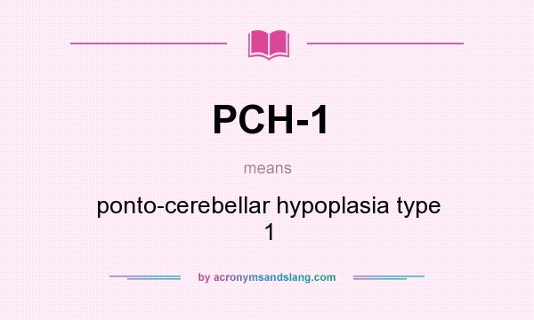 What does PCH-1 mean? It stands for ponto-cerebellar hypoplasia type 1
