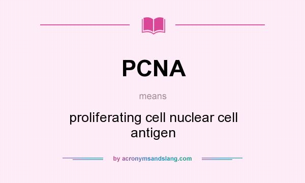 What does PCNA mean? It stands for proliferating cell nuclear cell antigen