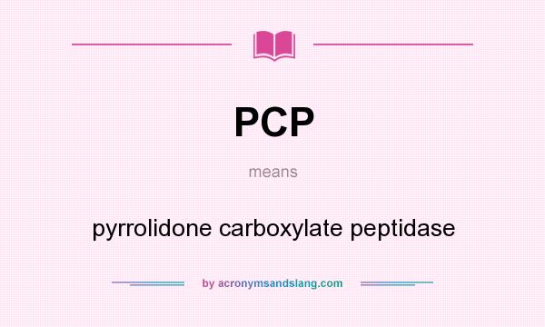 What does PCP mean? It stands for pyrrolidone carboxylate peptidase