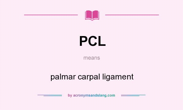 What does PCL mean? It stands for palmar carpal ligament