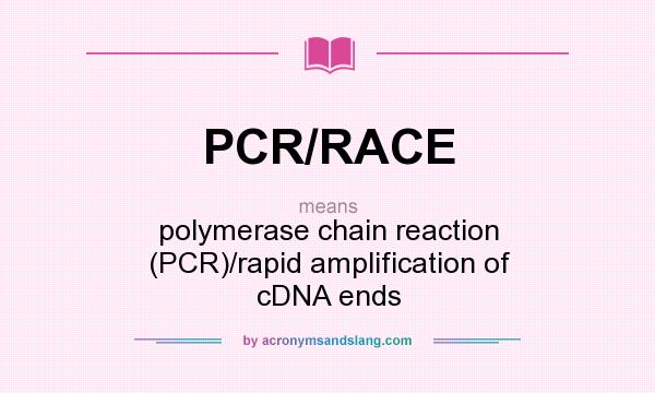 What does PCR/RACE mean? It stands for polymerase chain reaction (PCR)/rapid amplification of cDNA ends