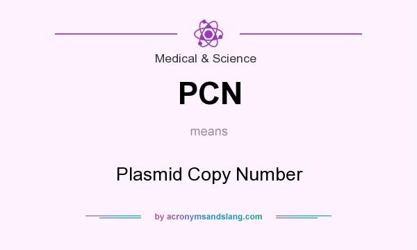What does PCN mean? It stands for Plasmid Copy Number