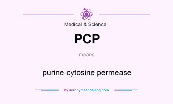 What does PCP mean? It stands for purine-cytosine permease