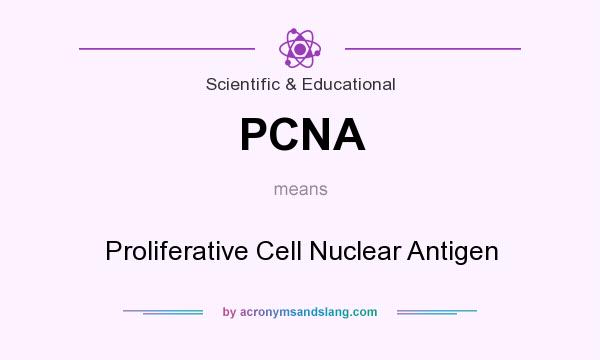 What does PCNA mean? It stands for Proliferative Cell Nuclear Antigen