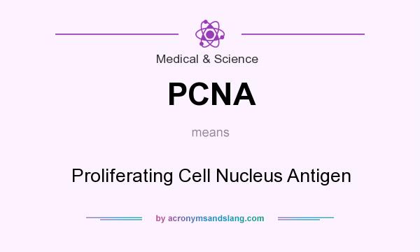 What does PCNA mean? It stands for Proliferating Cell Nucleus Antigen