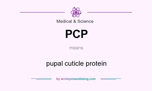 What does PCP mean? It stands for pupal cuticle protein