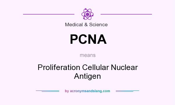 What does PCNA mean? It stands for Proliferation Cellular Nuclear Antigen