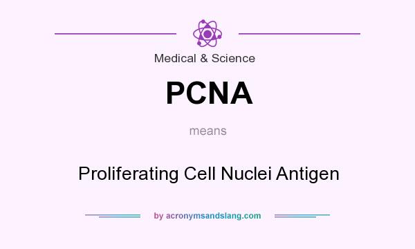 What does PCNA mean? It stands for Proliferating Cell Nuclei Antigen