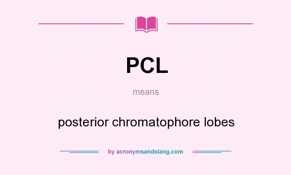 What does PCL mean? It stands for posterior chromatophore lobes