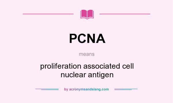 What does PCNA mean? It stands for proliferation associated cell nuclear antigen