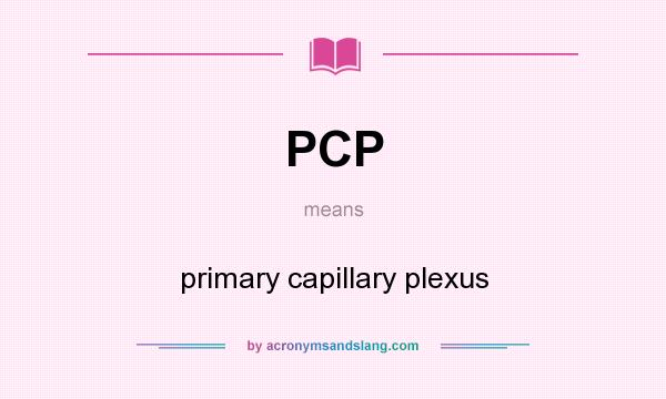 What does PCP mean? It stands for primary capillary plexus