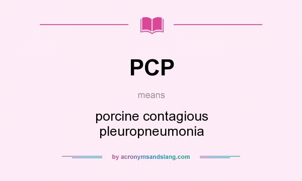 What does PCP mean? It stands for porcine contagious pleuropneumonia