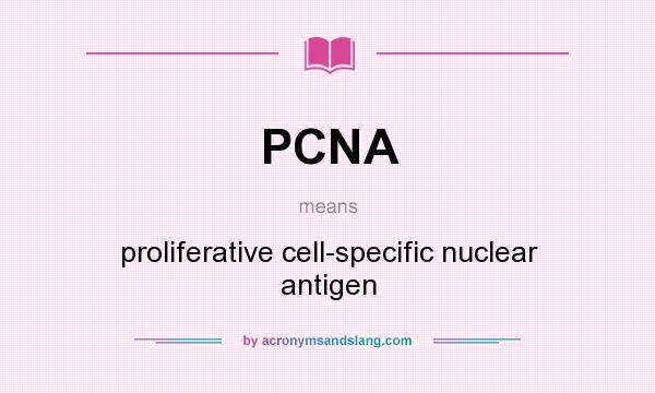 What does PCNA mean? It stands for proliferative cell-specific nuclear antigen