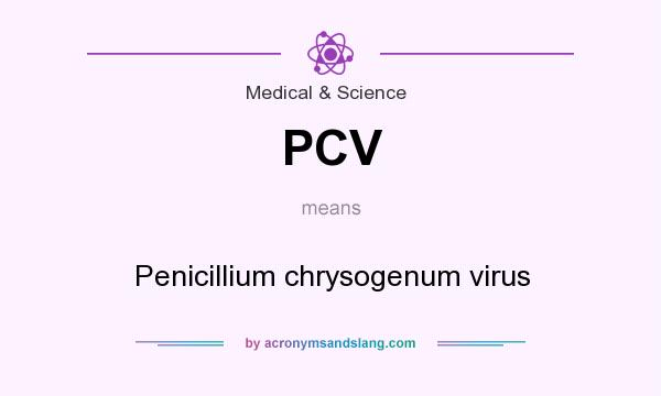 What does PCV mean? It stands for Penicillium chrysogenum virus