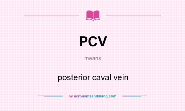 What does PCV mean? It stands for posterior caval vein