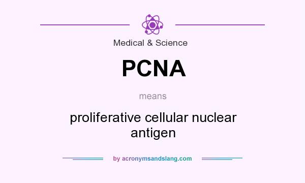 What does PCNA mean? It stands for proliferative cellular nuclear antigen