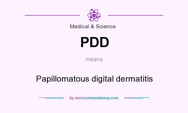 What does PDD mean? It stands for Papillomatous digital dermatitis