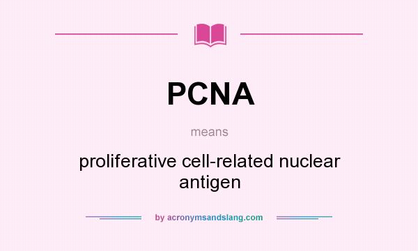 What does PCNA mean? It stands for proliferative cell-related nuclear antigen