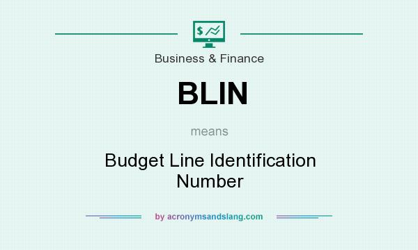 What does BLIN mean? It stands for Budget Line Identification Number