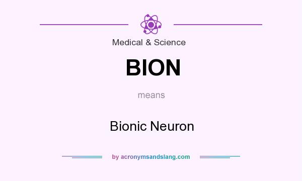 What does BION mean? It stands for Bionic Neuron