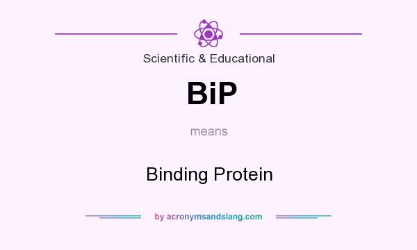What does BiP mean? It stands for Binding Protein