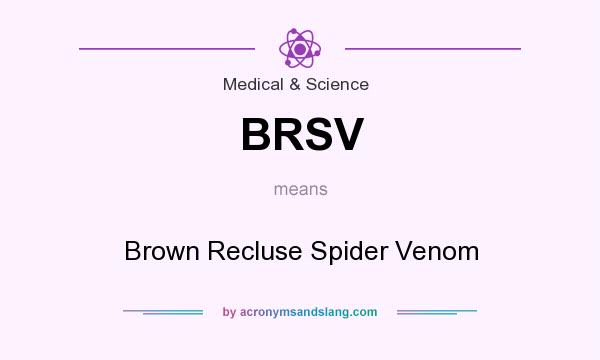 What does BRSV mean? It stands for Brown Recluse Spider Venom