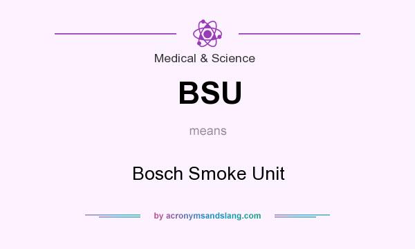 What does BSU mean? It stands for Bosch Smoke Unit