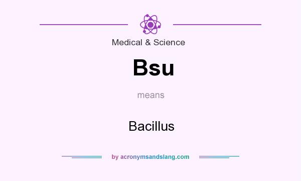 What does Bsu mean? It stands for Bacillus