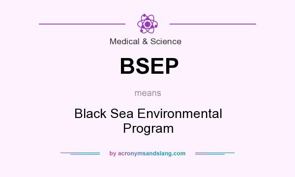 What does BSEP mean? It stands for Black Sea Environmental Program