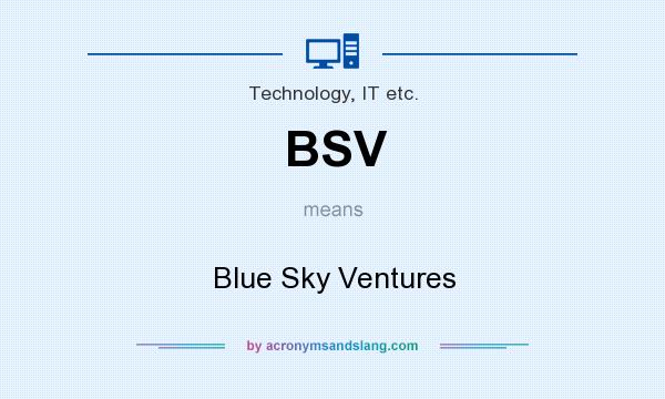 What does BSV mean? It stands for Blue Sky Ventures