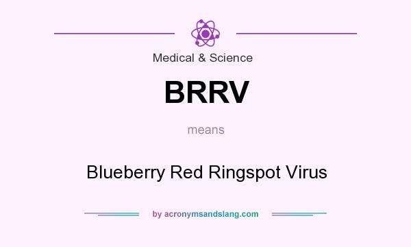 What does BRRV mean? It stands for Blueberry Red Ringspot Virus