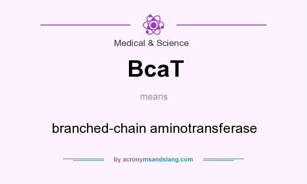 What does BcaT mean? It stands for branched-chain aminotransferase