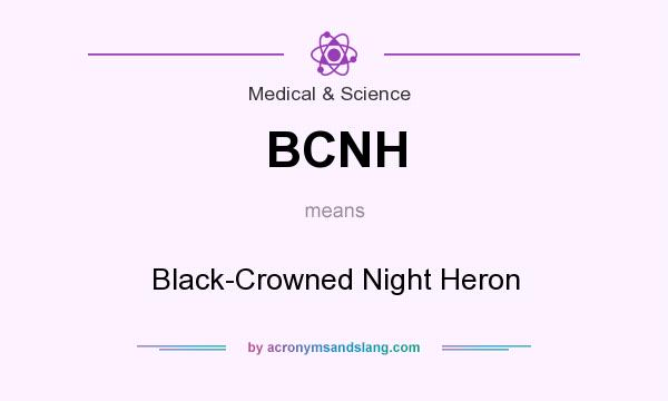 What does BCNH mean? It stands for Black-Crowned Night Heron