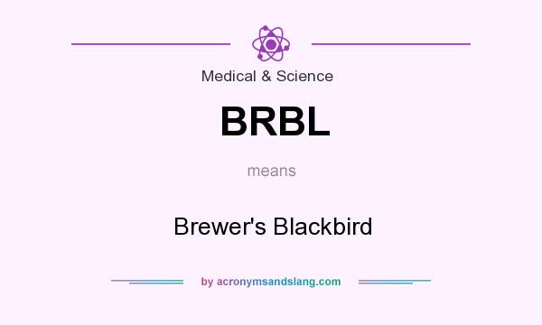 What does BRBL mean? It stands for Brewer`s Blackbird