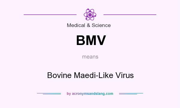 What does BMV mean? It stands for Bovine Maedi-Like Virus