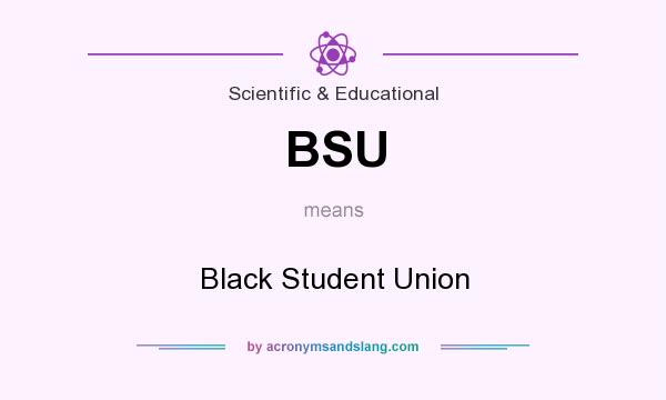 What does BSU mean? It stands for Black Student Union