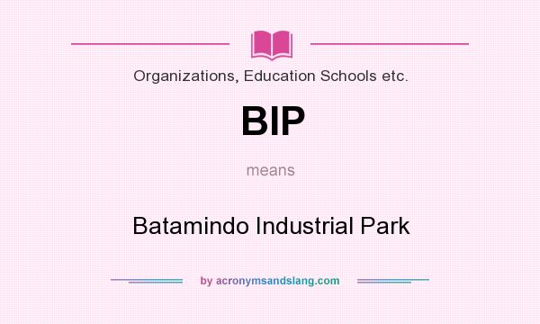 What does BIP mean? It stands for Batamindo Industrial Park
