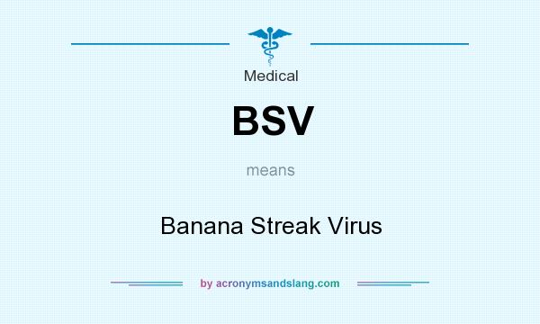 What does BSV mean? It stands for Banana Streak Virus