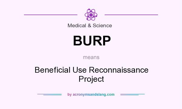 What does BURP mean? It stands for Beneficial Use Reconnaissance Project