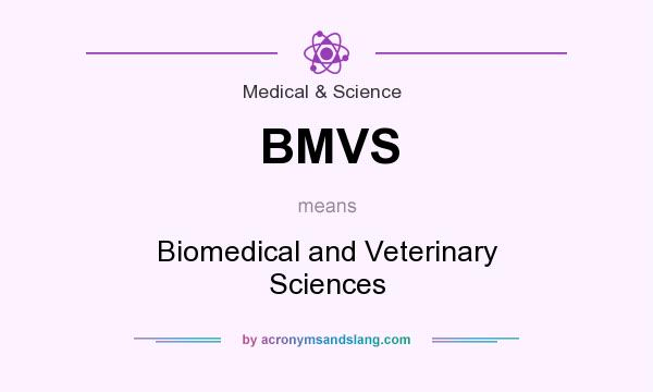 What does BMVS mean? It stands for Biomedical and Veterinary Sciences