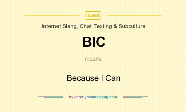 What does BIC mean? It stands for Because I Can