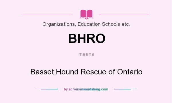 What does BHRO mean? It stands for Basset Hound Rescue of Ontario