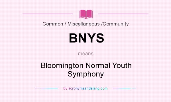 What does BNYS mean? It stands for Bloomington Normal Youth Symphony