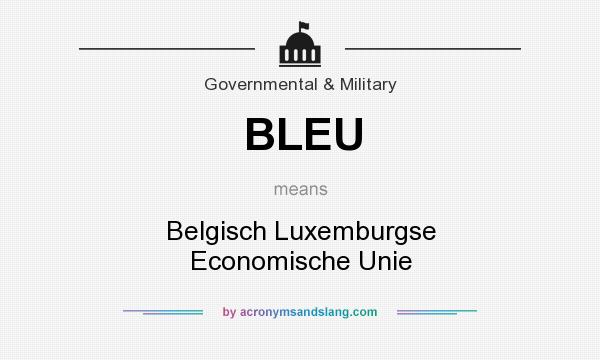 What does BLEU mean? It stands for Belgisch Luxemburgse Economische Unie