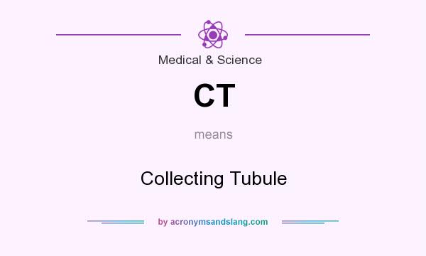 What does CT mean? It stands for Collecting Tubule