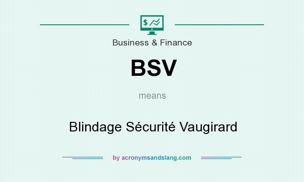What does BSV mean? It stands for Blindage Sécurité Vaugirard